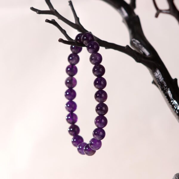 IMG_6876.jpg IMG_6876.jpg