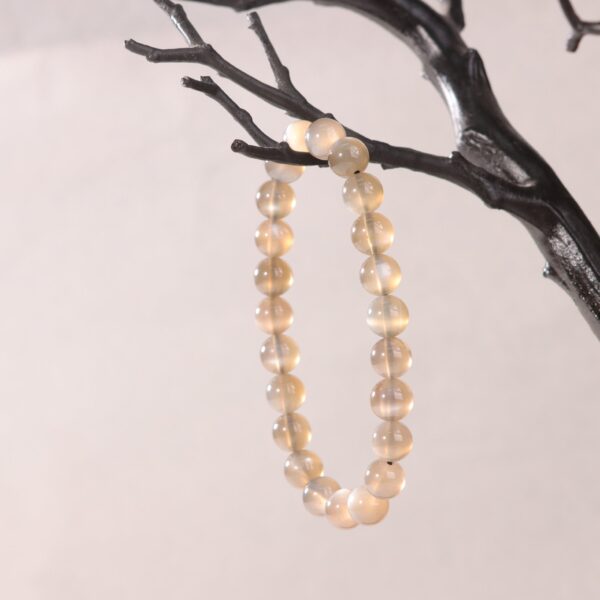 IMG_7018.jpg IMG_7018.jpg