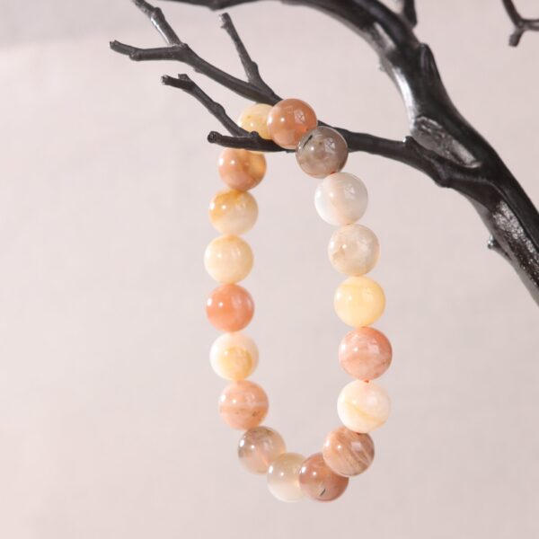 IMG_7020.jpg IMG_7020.jpg