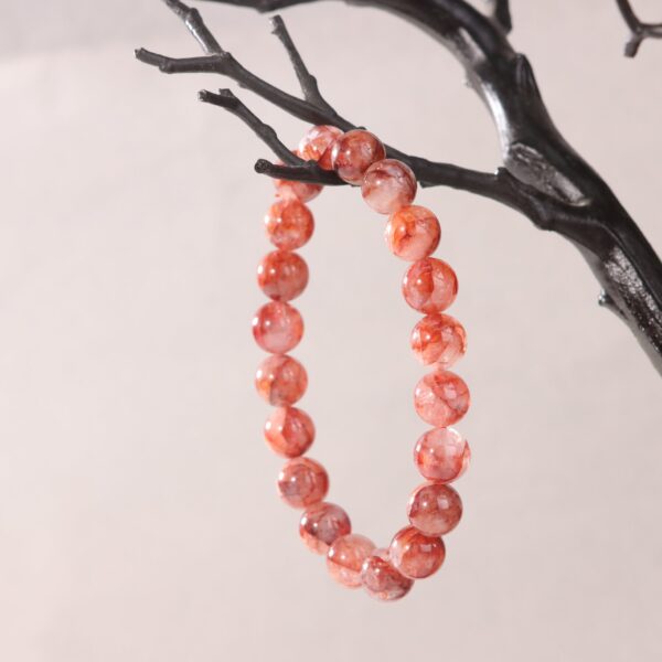 IMG_7022.jpg IMG_7022.jpg