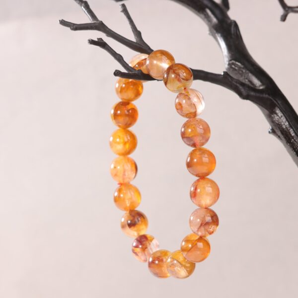 IMG_7023.jpg IMG_7023.jpg