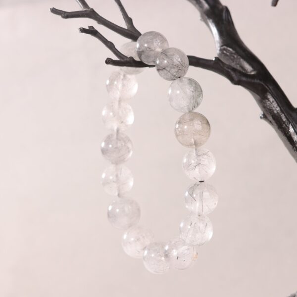 IMG_7024.jpg IMG_7024.jpg