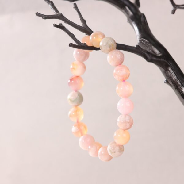 IMG_7027.jpg IMG_7027.jpg