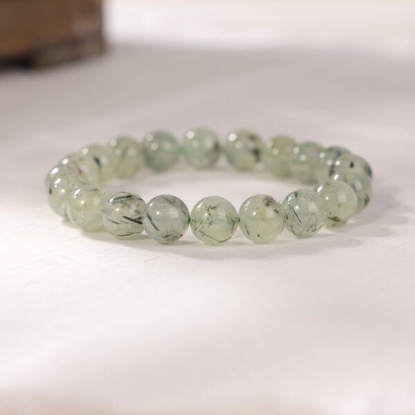 IMG_7076.jpg IMG_7076.jpg