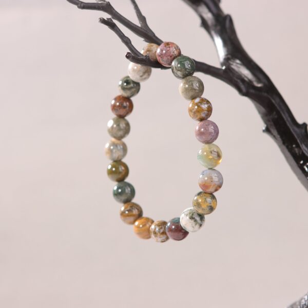 IMG_7092.jpg IMG_7092.jpg