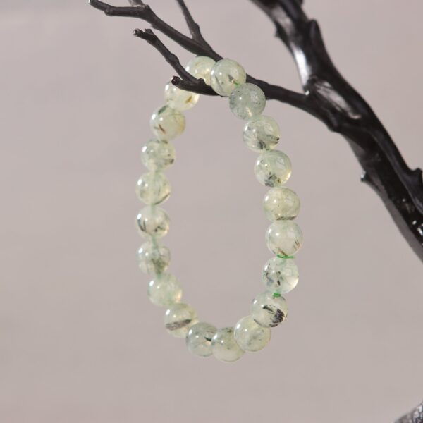 IMG_7094.jpg IMG_7094.jpg