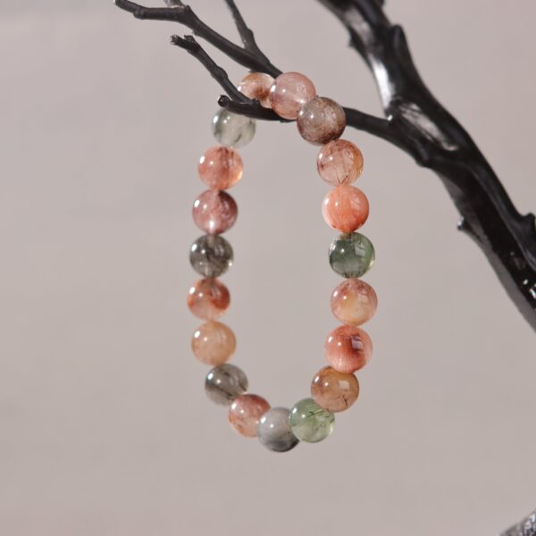 IMG_7096.jpg IMG_7096.jpg