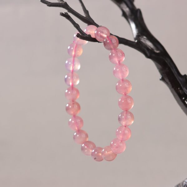 IMG_7099.jpg IMG_7099.jpg