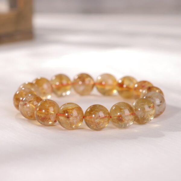 IMG_7107.jpg IMG_7107.jpg