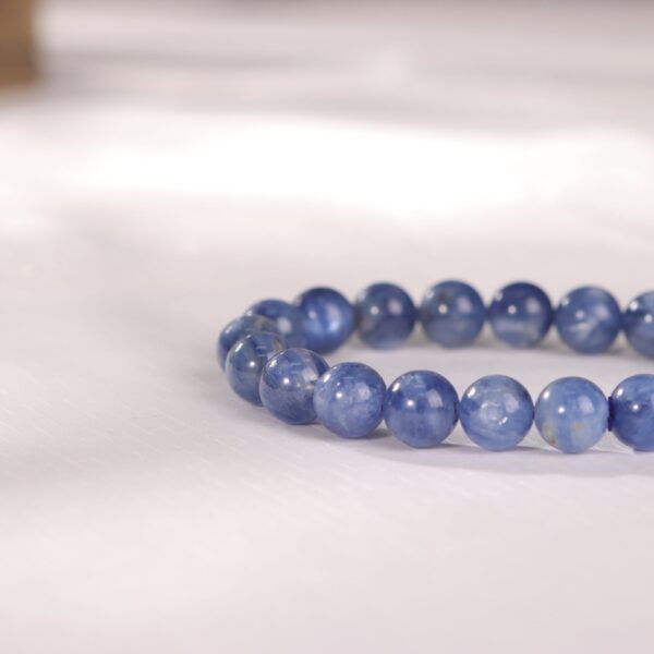 IMG_7120.jpg IMG_7120.jpg