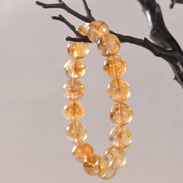 IMG_7128.jpg IMG_7128.jpg