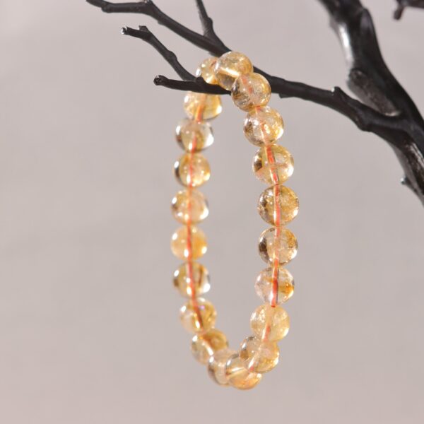 IMG_7130.jpg IMG_7130.jpg