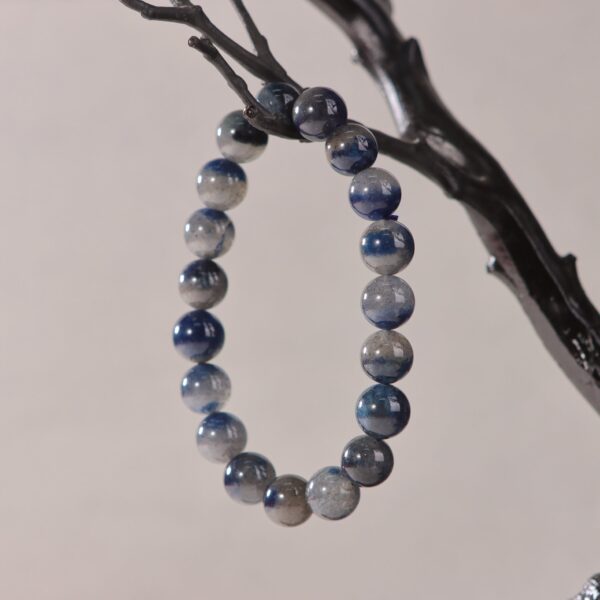 IMG_7159.jpg IMG_7159.jpg