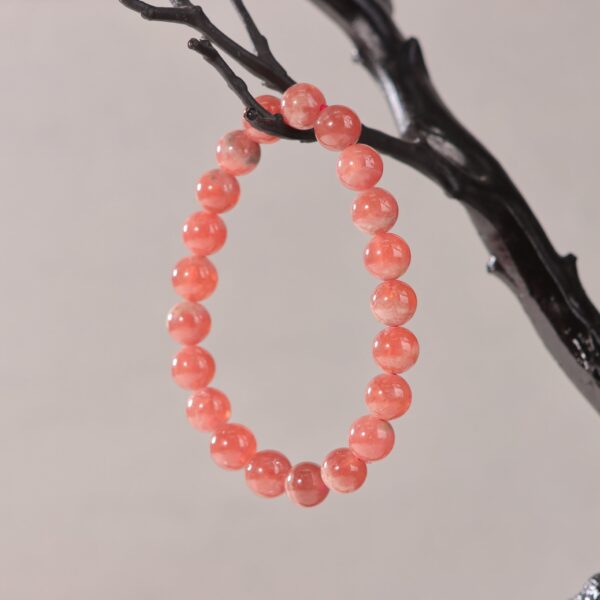 IMG_7163.jpg IMG_7163.jpg