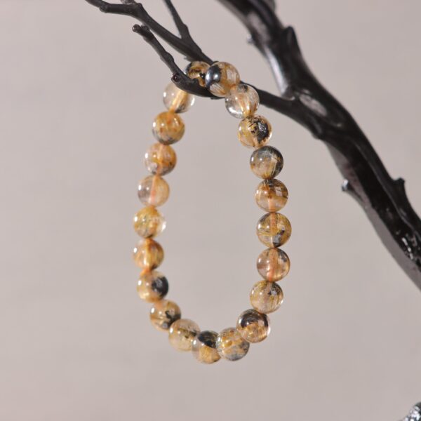 IMG_7164.jpg IMG_7164.jpg