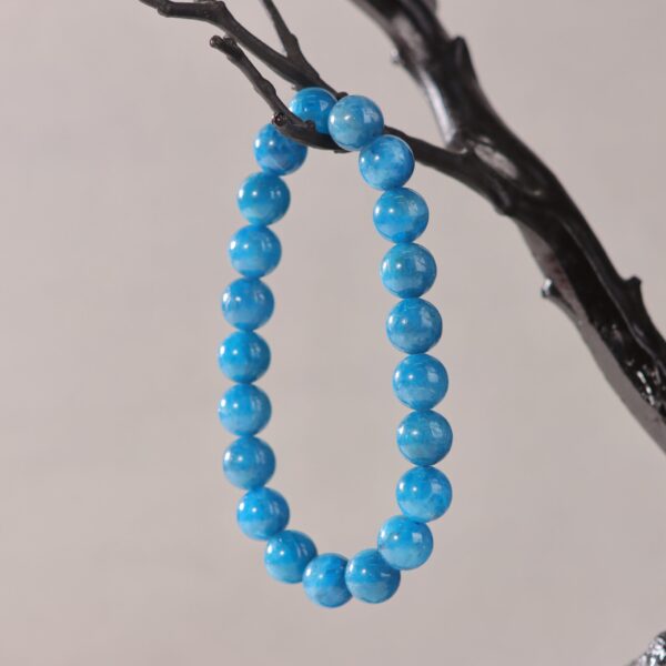 IMG_7166.jpg IMG_7166.jpg