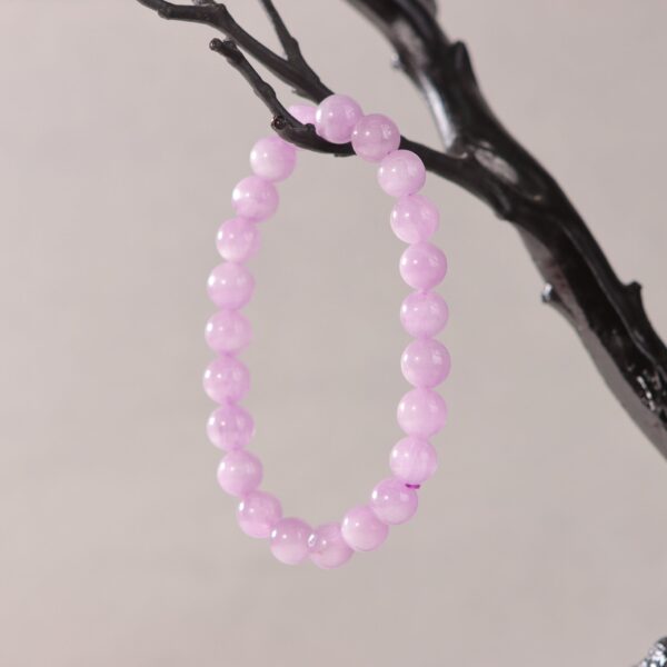 IMG_7169.jpg IMG_7169.jpg